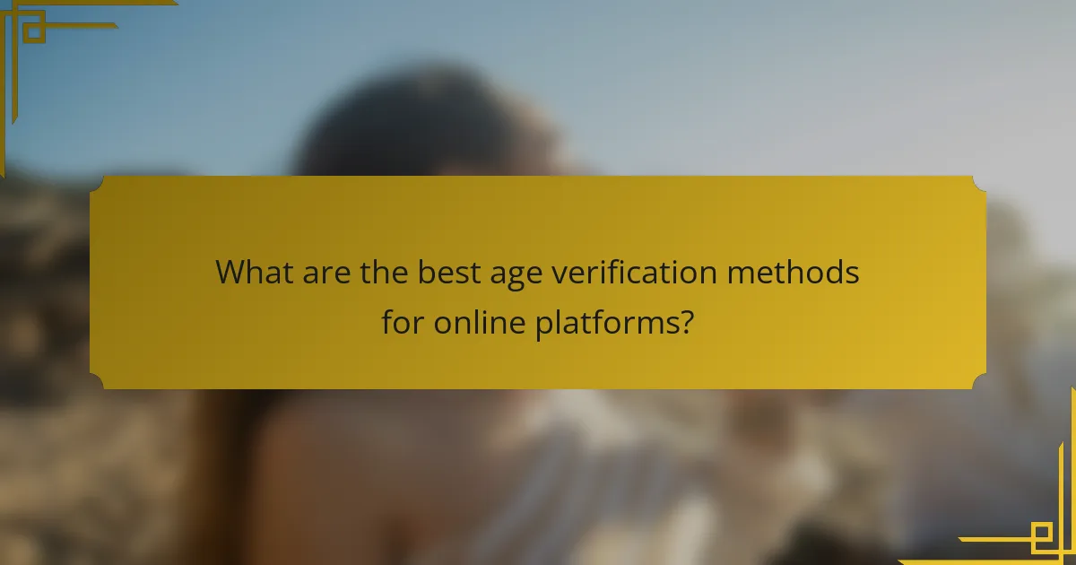 What are the best age verification methods for online platforms?