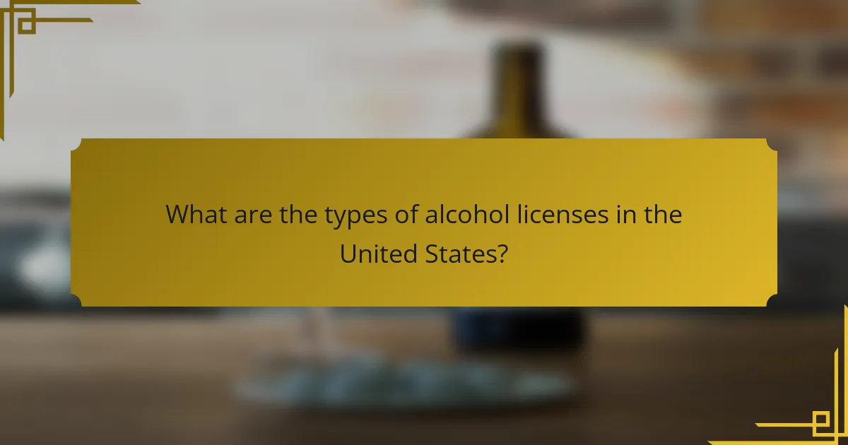 What are the types of alcohol licenses in the United States?